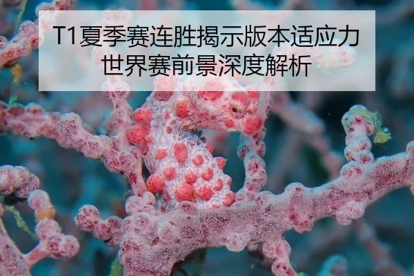 T1夏季赛连胜揭示版本适应力 世界赛前景深度解析